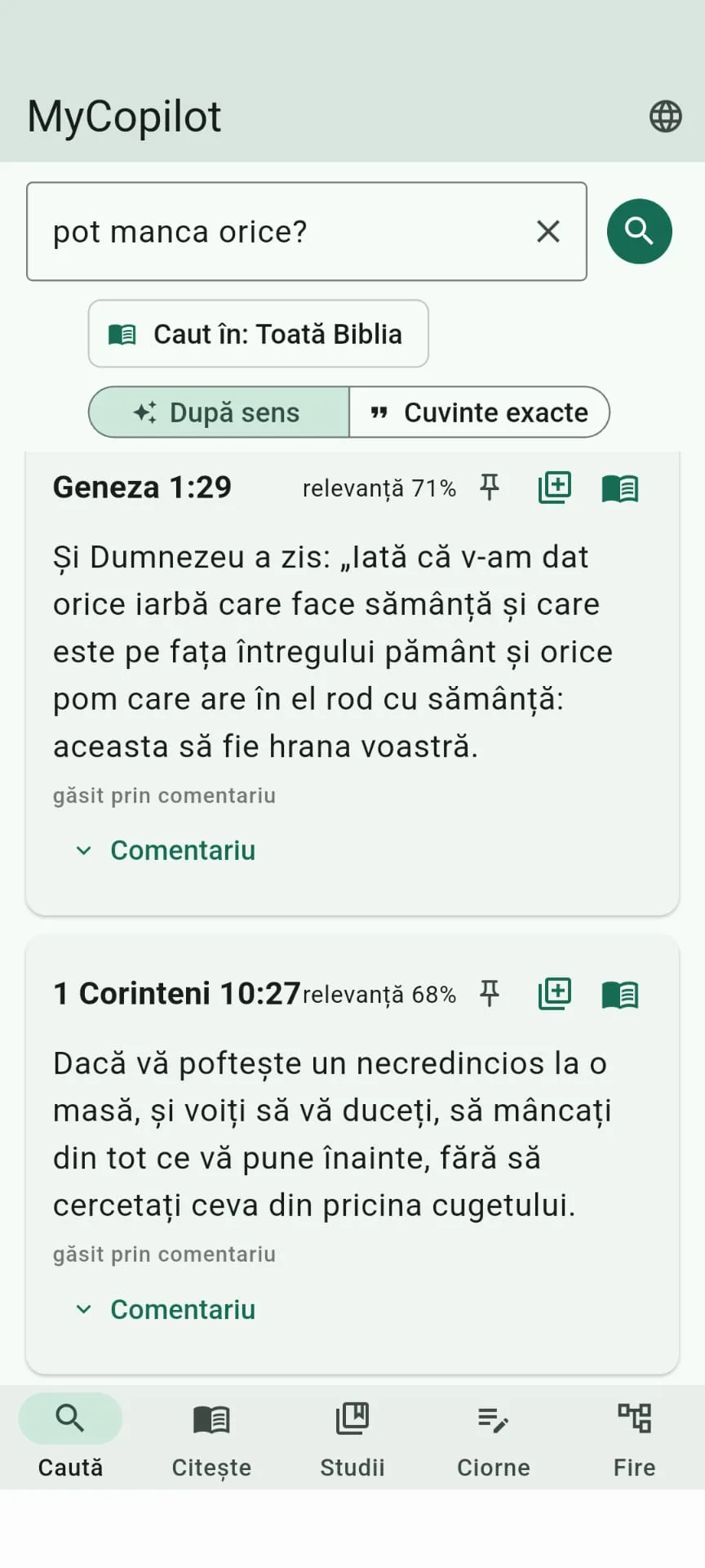 Captură MyCopilot