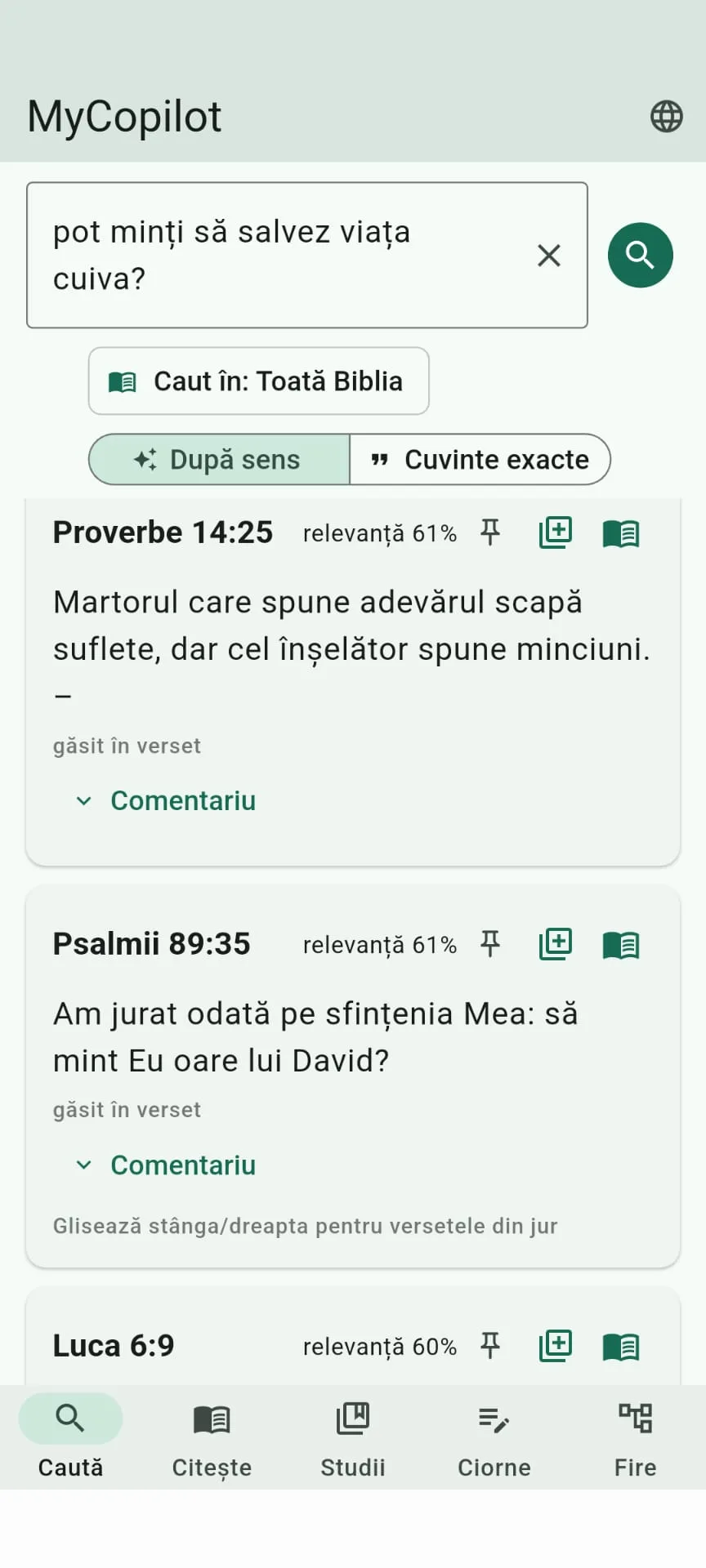 Captură MyCopilot