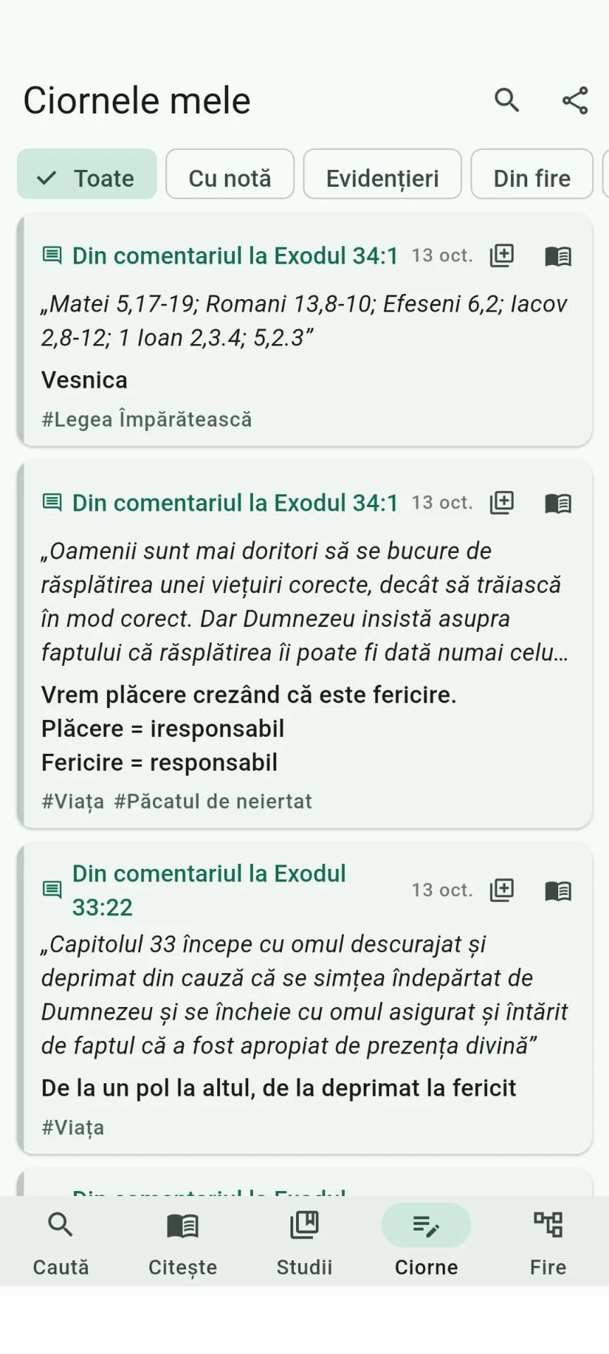 Captură MyCopilot