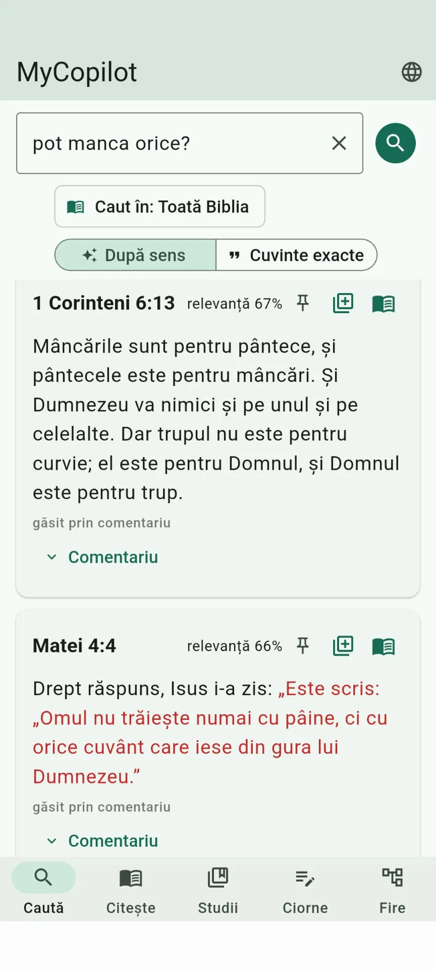 Captură MyCopilot
