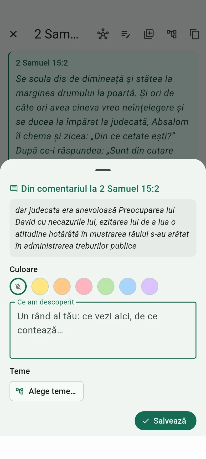 Captură MyCopilot